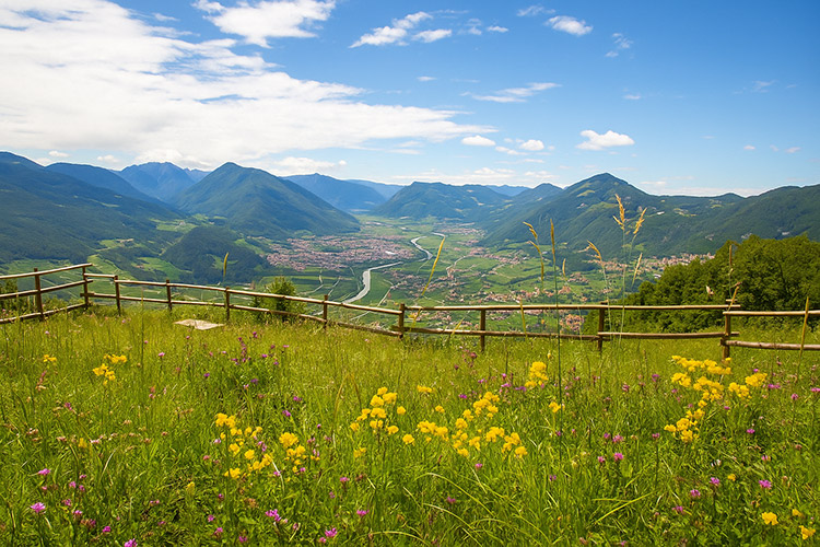 malga Cimana panorama