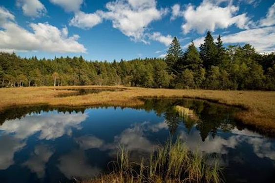 escursione-lac-del-vedes-potzmauer